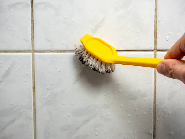 Best Mold Remediation  in Salt Creek Commons, IN