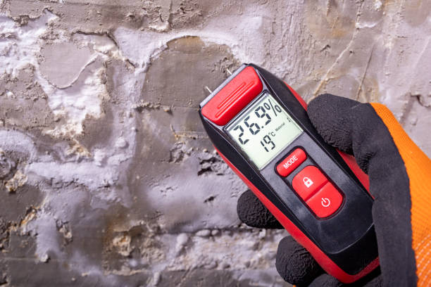 Reliable Salt Creek Commons, IN Mold Removal Solutions
