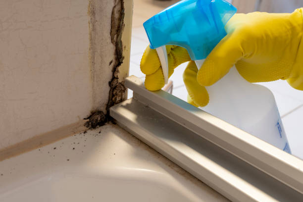 Crawl Space Mold Removal in Salt Creek Commons, IN