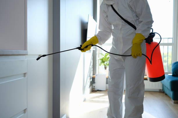 Best Mold Testing  in Salt Creek Commons, IN